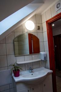 Luca Apartman