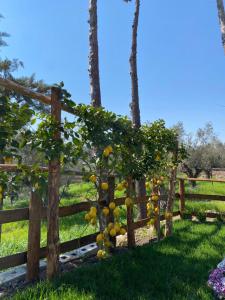 Casa Vacanza Capozzoli