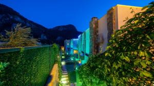 TERRA LİVA