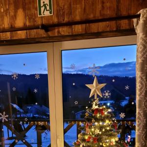 Domki w Bieszczadach