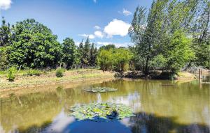 Appartements Awesome apartment in Narbonne with WiFi and 1 Bedrooms : photos des chambres