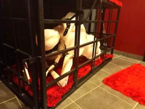 Budapest BDSM Studio