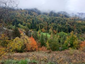 Appartements SUPERBE APPARTEMENT REFAIT A NEUF avec garage : photos des chambres