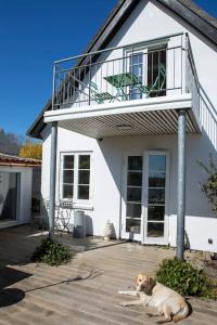 Historical beachhouse in Snekkersten