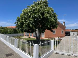 Moradia alegre no centro da Vila da Tocha.