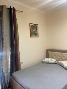 Green-Garden Apartmets