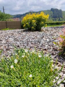 Chalets Chalet, aux portes du Morvan : photos des chambres