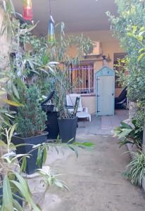 Appartements Joli Studio avec jardin : photos des chambres