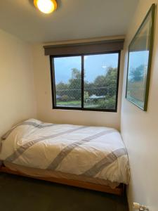 Excelente y central departamento en Pucon con hermosas vistas