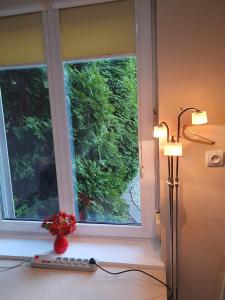 Mały domek kawalerka