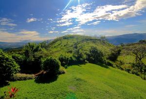 Cottage in Magic Mountain Views