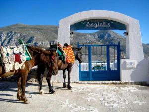 Aegialis Hotel & Spa Amorgos Greece