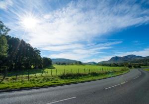 Cysgod-y-coed
