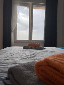 Apartman u iznimnoj blizini mora za miran odmor