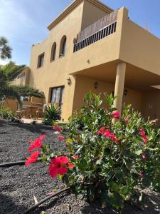Casa Felice Oasis Papagayo
