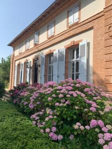 Maisons de vacances Gite ANDA- piscine- Montauban - Lacourt-Saint-Pierre : photos des chambres