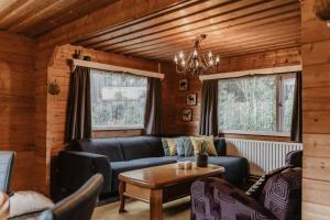 Cosy and Romantic forest house met SAUNA op de Veluwe