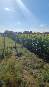 Maisons de vacances Lovely 4-Bed House in rural West France : photos des chambres