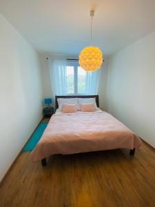 Apartmán Jégého & free parking