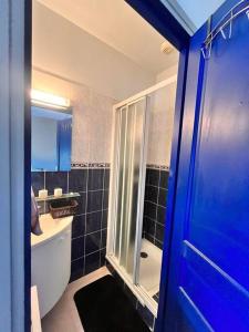 Grand Appartement lumineux