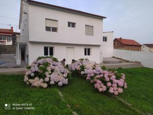 Vivienda completa cerca de la playa