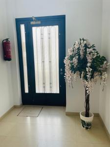 Beach Apartment Artigas