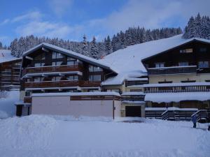 Studio Les Saisies 4 pers, proche télésièges - FR-1-594-150