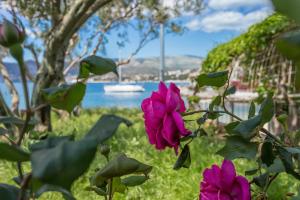 Apartment Okrug Gornji 9693a