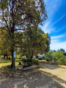 Apartments by the sea Cove Mulobedanj, Pag - 6275