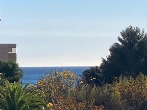 T2 Climatisé avec Piscine, Tennis, Garage, Proche Plage – Bormes-les-Mimosas - FR-1-610-34