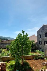 Apartments with a parking space Cres - 21116 