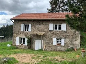 Ancienne petite ferme rénovée - La Versanne