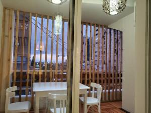 PEATONAL Y SAN MARTIN MONOAMBIENTE