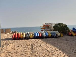 Appartement 2 pièces, 4 couchages, Fréjus – Proche plage et port, résidence sécurisée - FR-1-226A-118