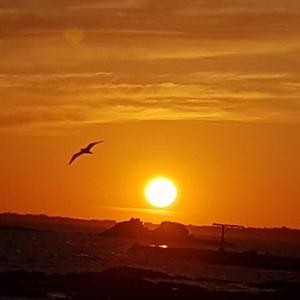 Rabit Island healing house