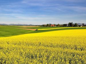 6 person holiday home in SKIVARP-By Traum