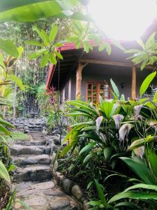 La Rana Deluxe Villa - Riverfront With A Pool