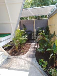 Coral Beach 2 Bungalow