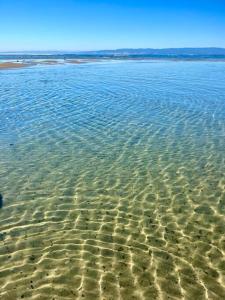 Viola - Seaside Retreat