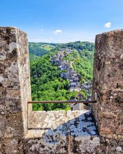 Maisons de vacances GITE LES VIGNETTES : photos des chambres