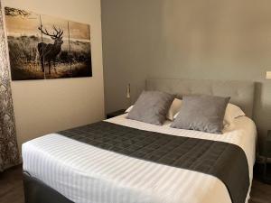 Hotels Hotel Alpes Cevennes : photos des chambres