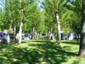 Parco Del Lago Glamping And Camping
