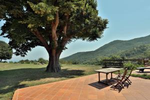 Maisons de vacances Mas Companyo - Vallespir - Ceret - Grand Mas : photos des chambres