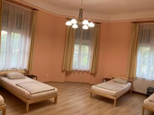 Gogol24