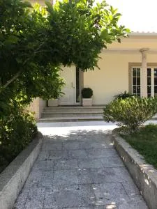 Camelias - Além da Veiga