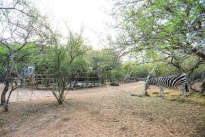 SouthernCross@Kruger