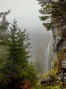 Appartements Ideal Sejour - Le Mont-Dore : Appartement avec Douche