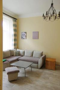 Nice big apartment in the city center