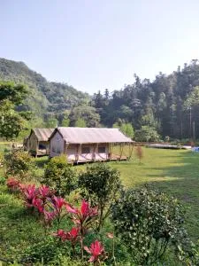 旅人山泉农场 - Sha-p'ing 旅人山泉农场 - Sha-p'ing