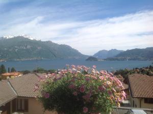 Appartamento Arancione